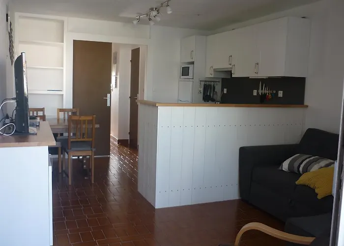 Des Pecheurs 公寓 阿格德